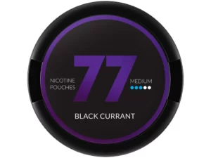 77 Pouches - Black currant MEDIUM