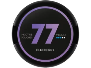 77 Pouches - Blueberry MEDIUM