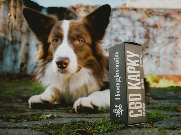 CBD Kapky "Pro zvířata" 2,5%